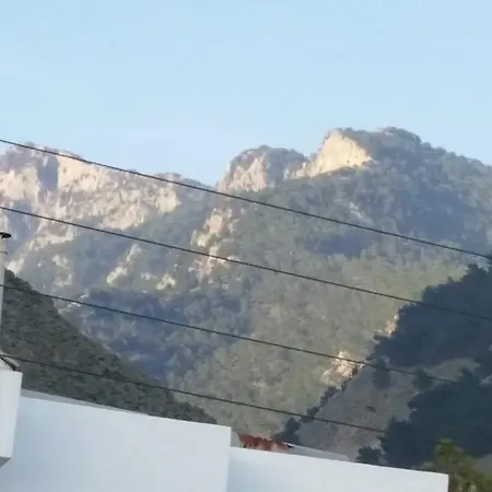 Tarra 3*